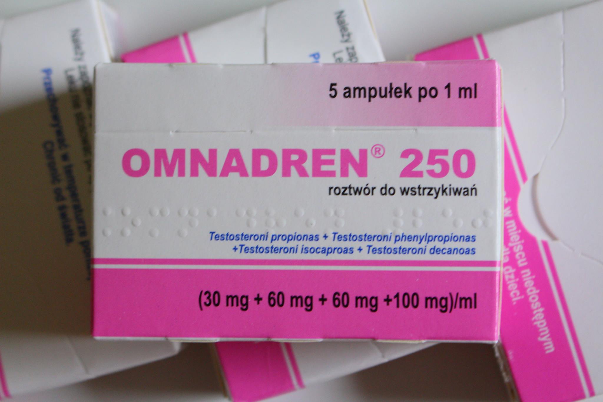 Omnadren 250 kaufen - Image 3